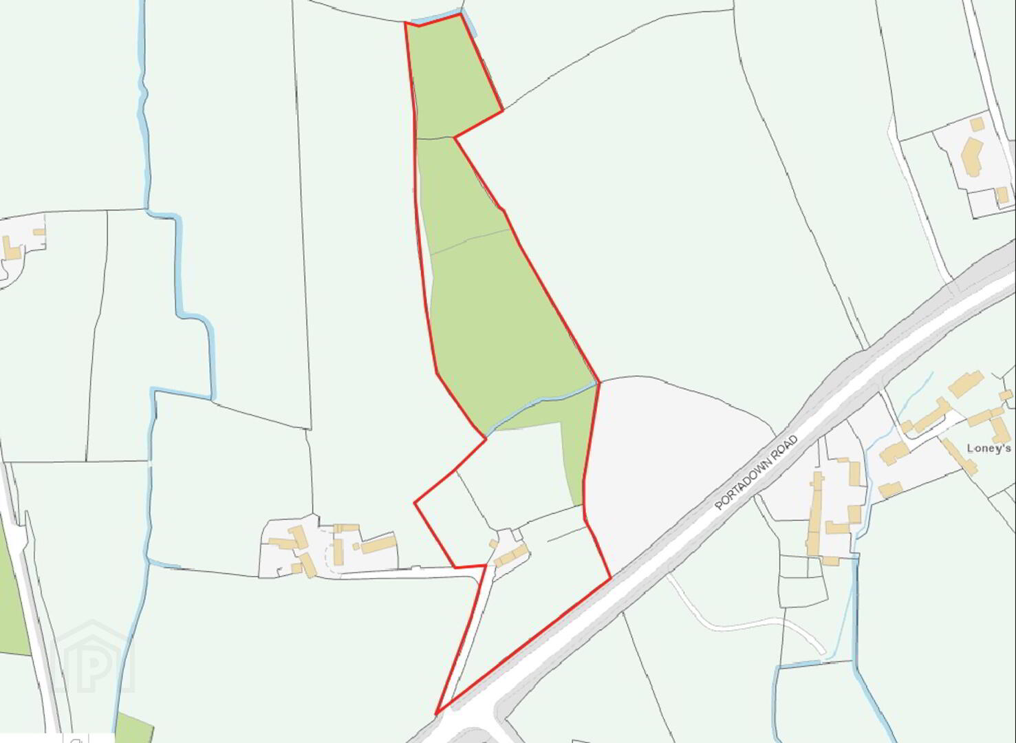 166 Portadown Road 2 of 11