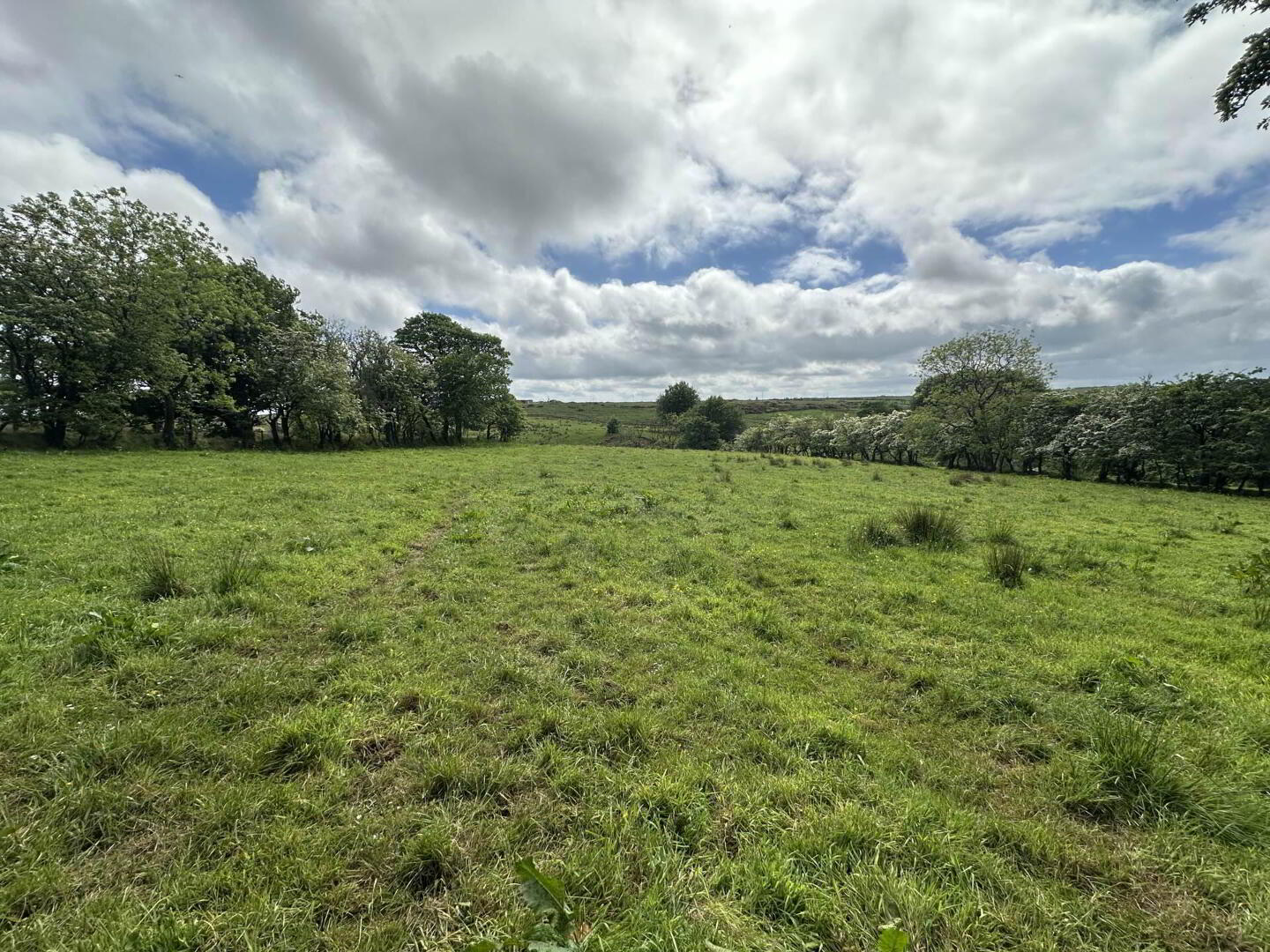 Plot, Of Land North Of Divis Road 14 of 15