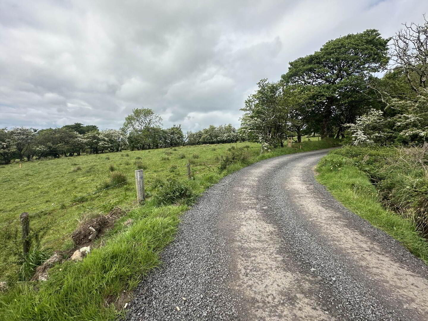 Plot, Of Land North Of Divis Road 2 of 16