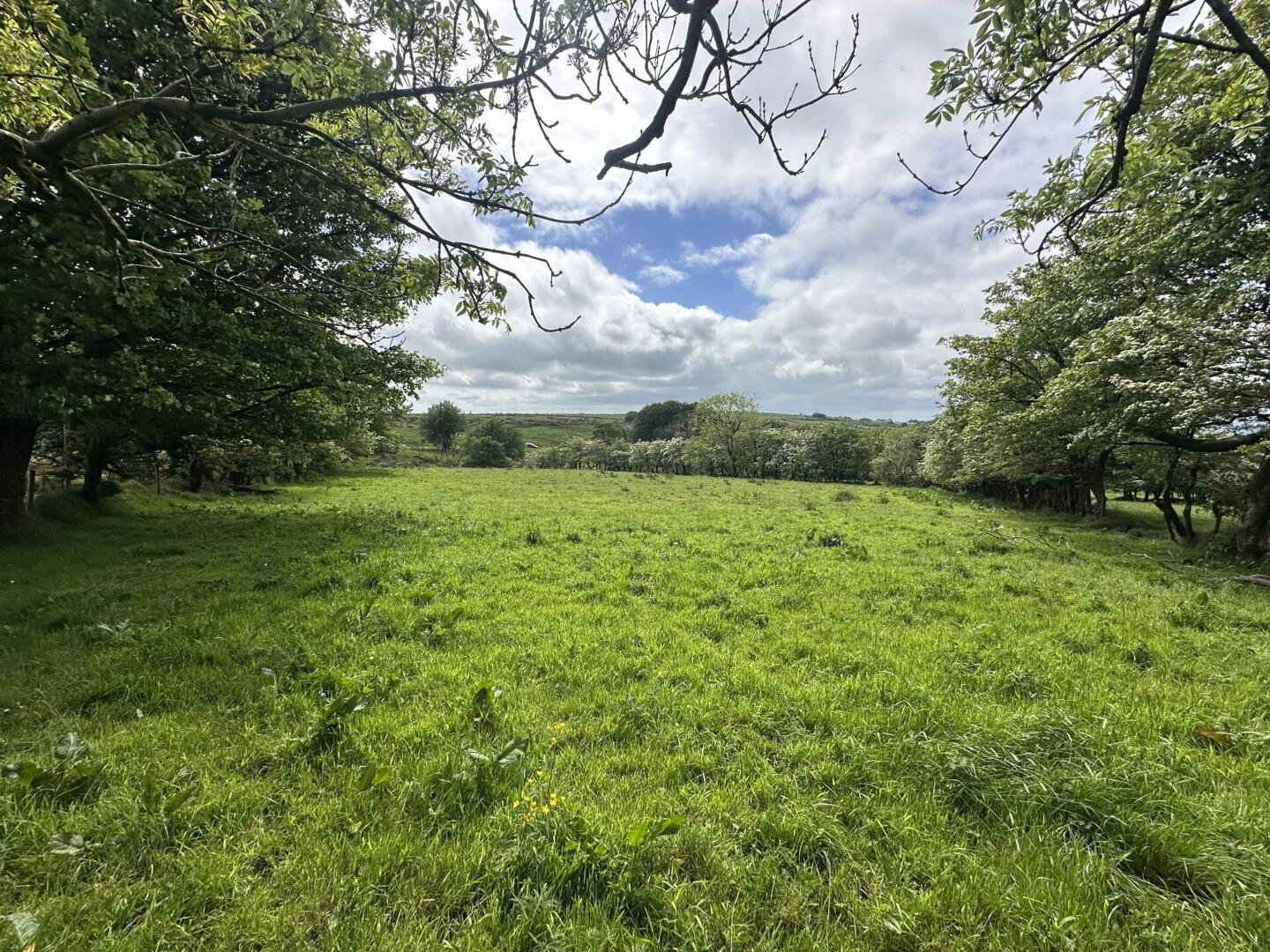 Plot, Of Land North Of Divis Road 15 of 16