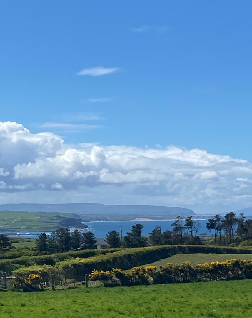 6 Aird Cottages 22 of 23