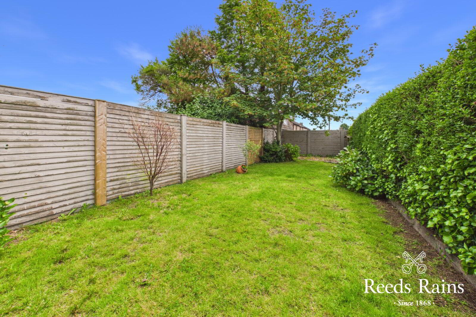 42 Scrabo Road 23 of 24