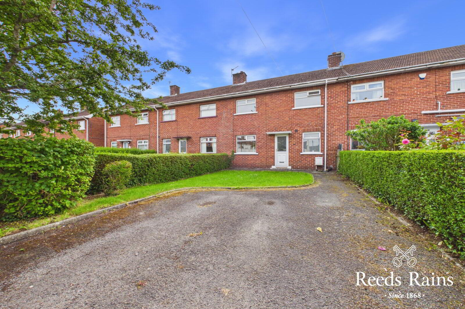 53 Chester Park 1 of 21