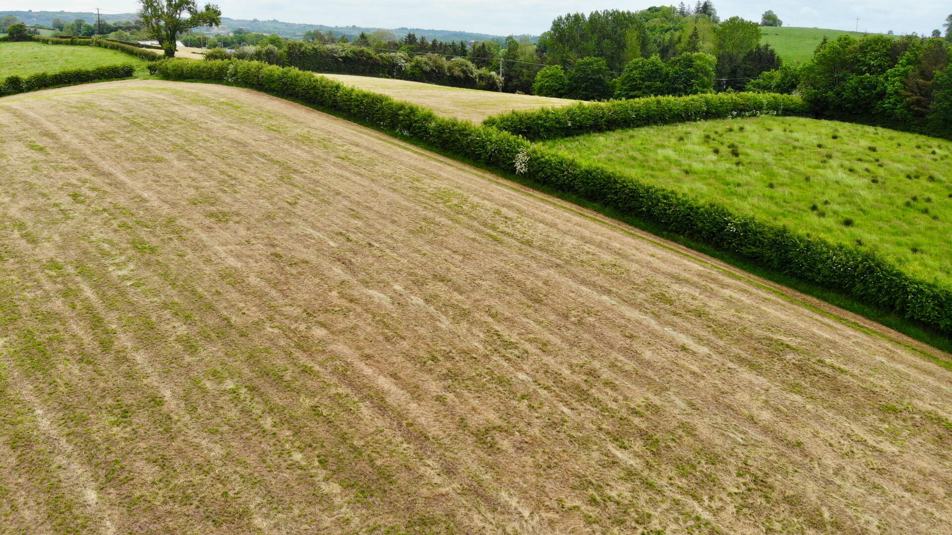 21.90 Acres @ Ballynany Road 6 of 7