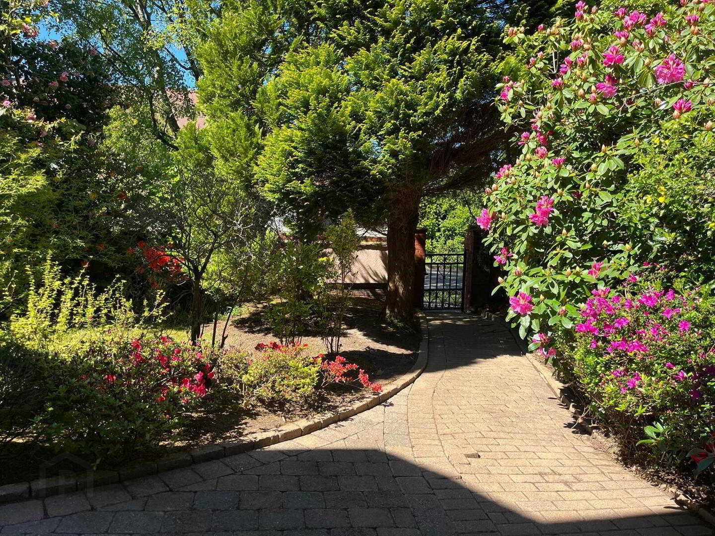 'Golden Yews', 2 Westmount Park 81 of 82