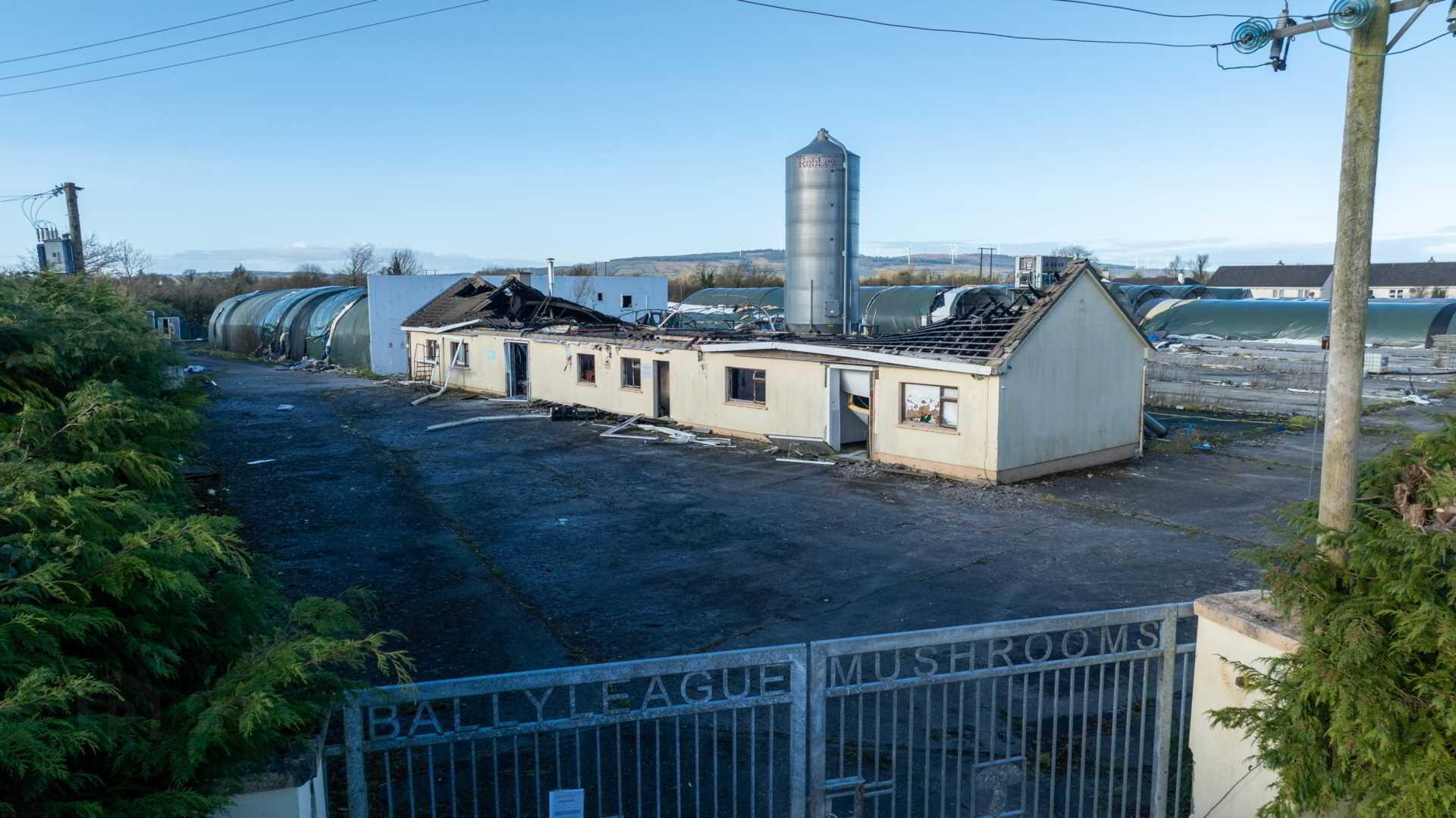 Strokestown Road 24 of 24