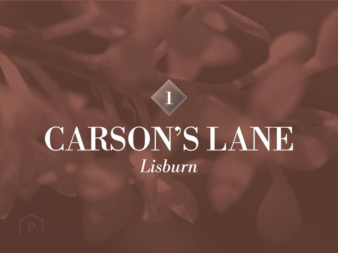 1 Carsons Lane 13 of 13