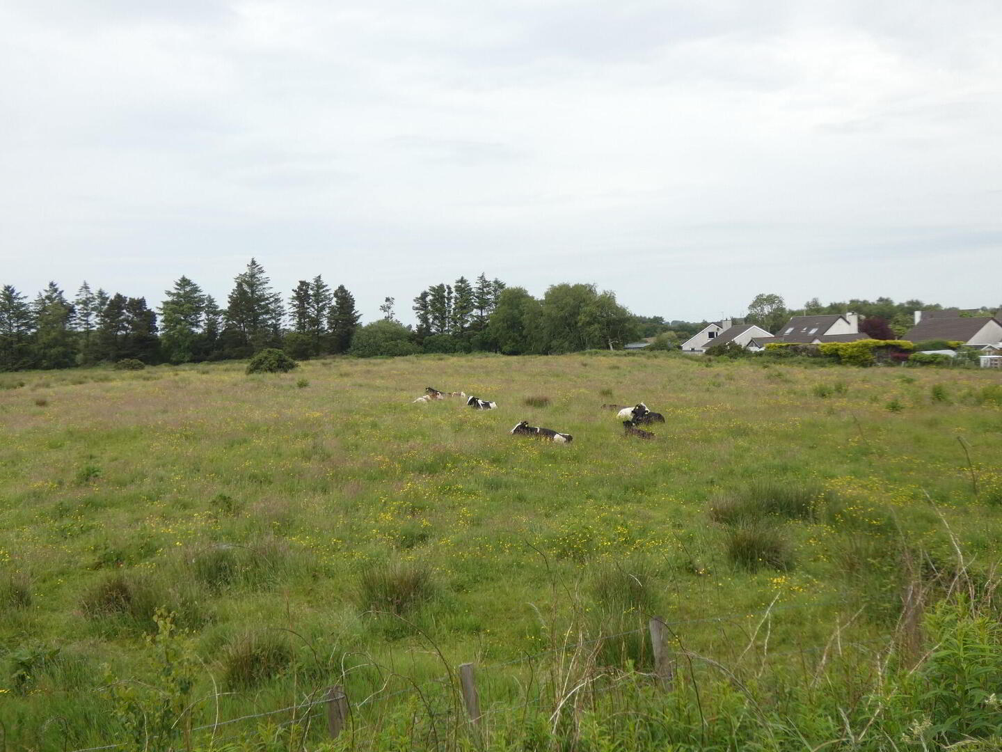 Land Adjacent To, 34 Ballindreen Road 6 of 7