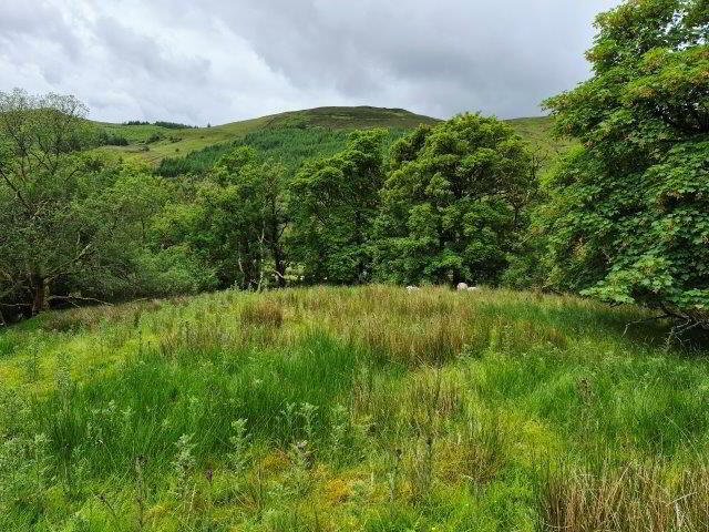 Rosies Cottage Conwal Lissiniska 28 of 29