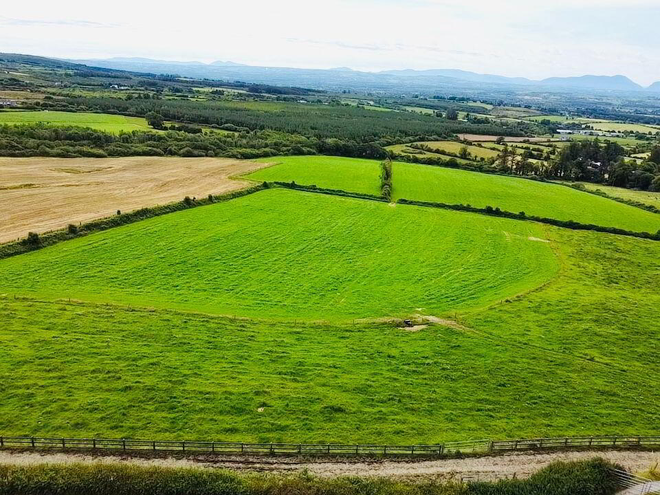 Tylagh 7 of 8