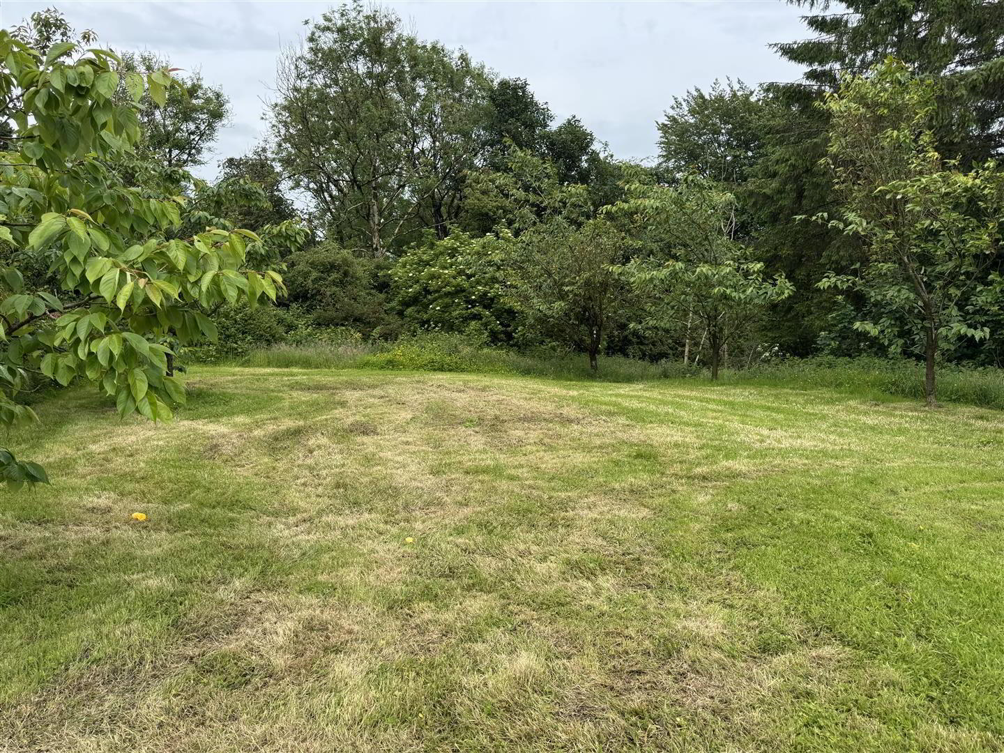42 Ballynoe Road 29 of 30