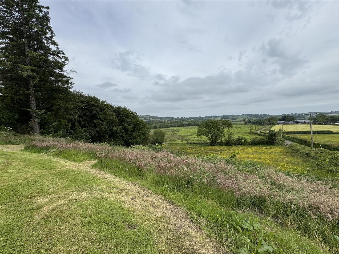 42 Ballynoe Road 30 of 30