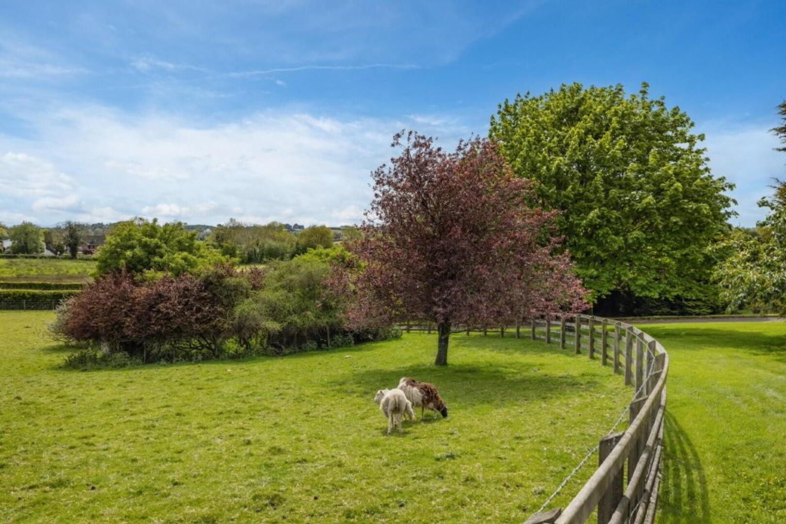 Oakleigh House, 736 Saintfield Road 16 of 16