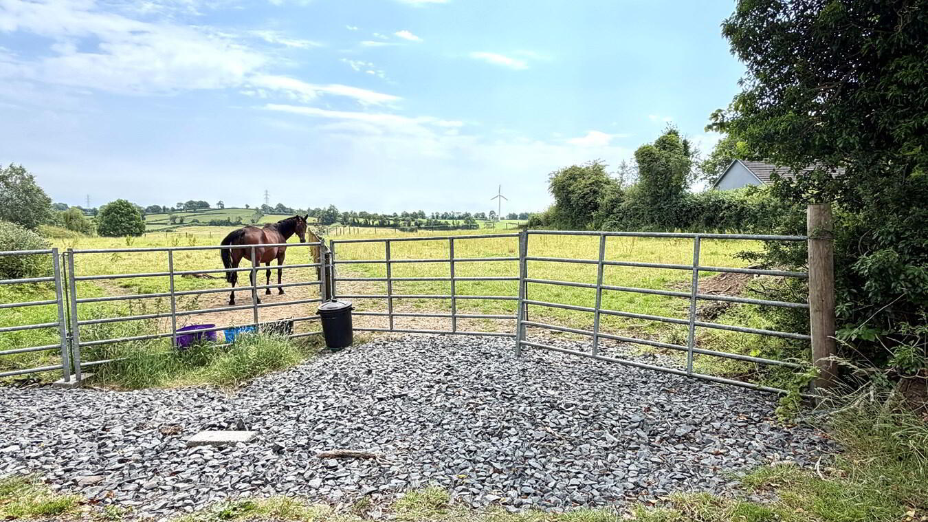 Site Beside, 7 Ballymacanallen Road 1 of 11