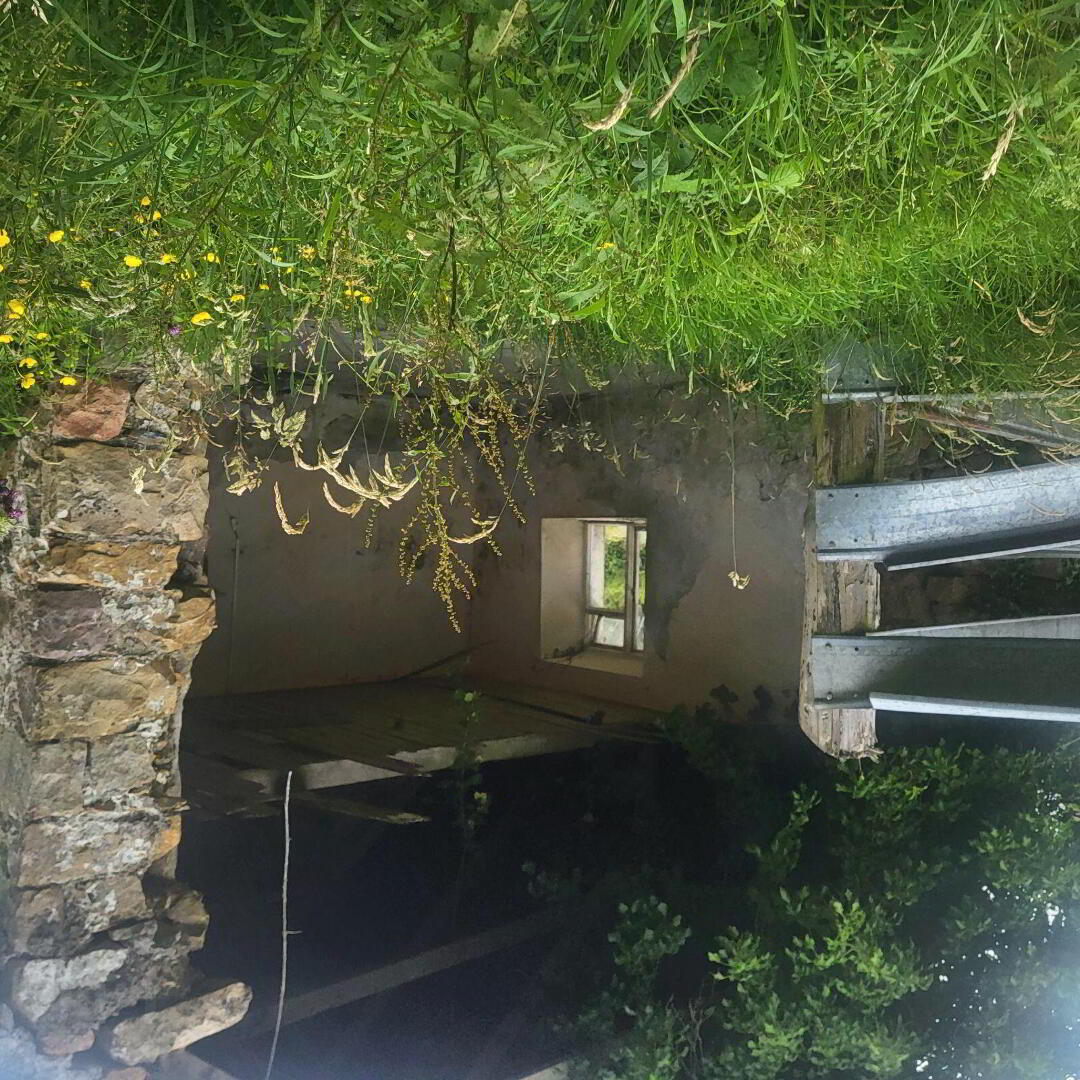 Lavagh 13 of 13