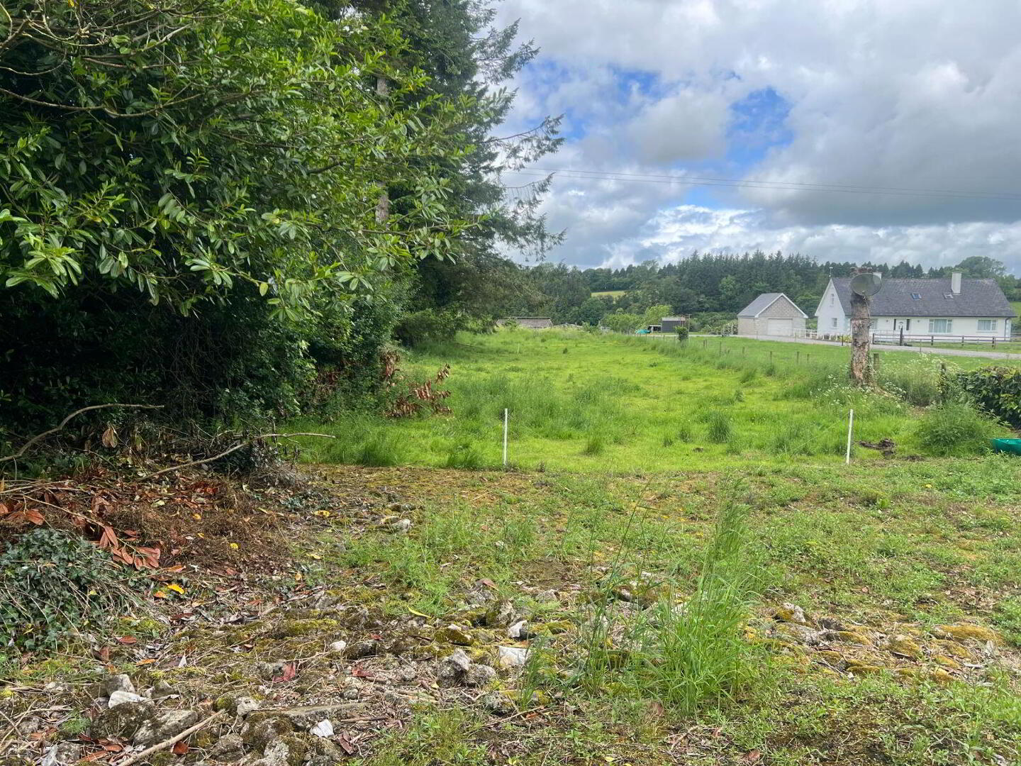 Cottage On, C. 0.5 Acre 11 of 11
