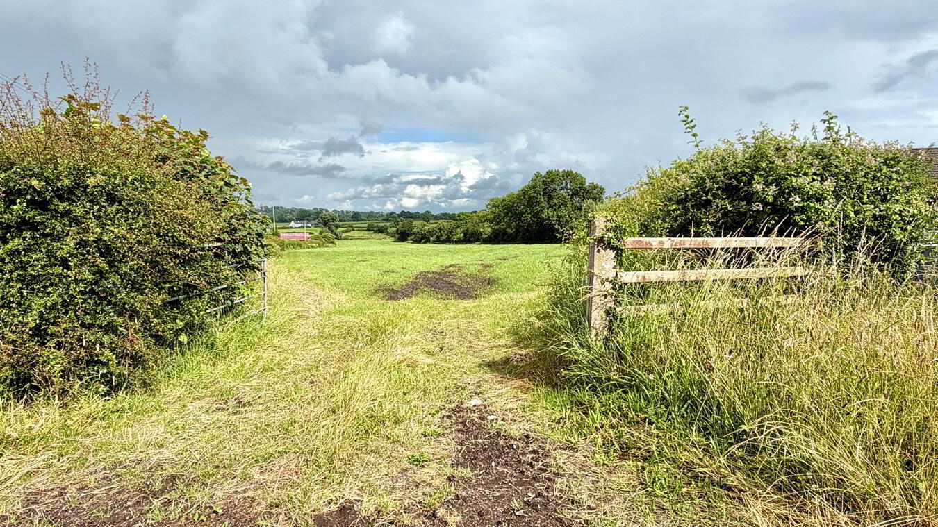 C. 5.5 Acres At 1 of 5