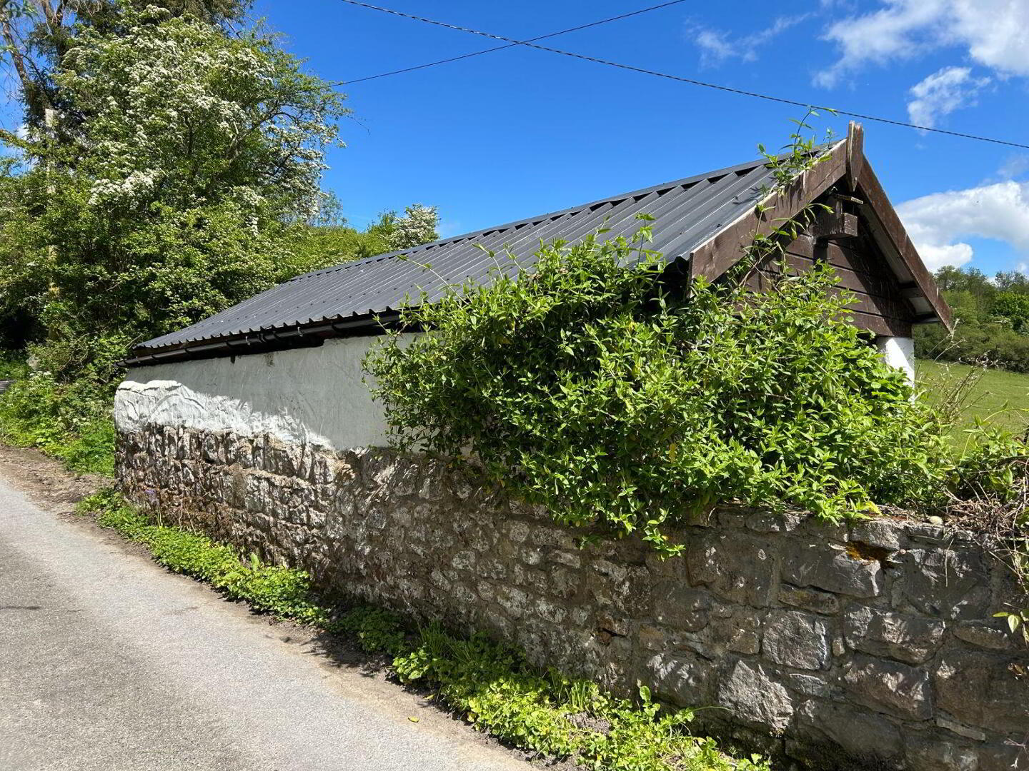 'Railway Cottage', Ballinteenoe 32 of 33