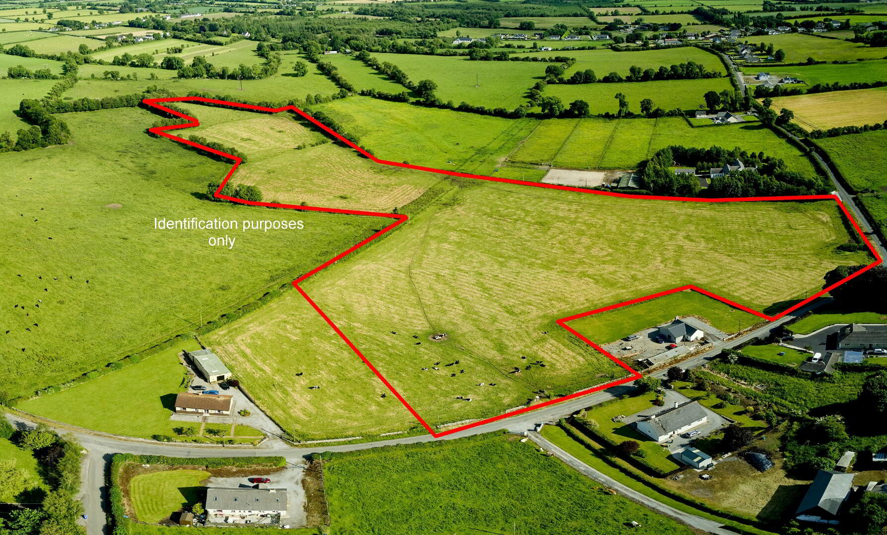 19 Acres, Ballyburly 1 of 3