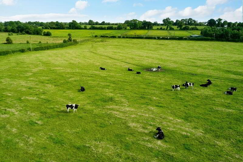 19 Acres, Ballyburly 2 of 3