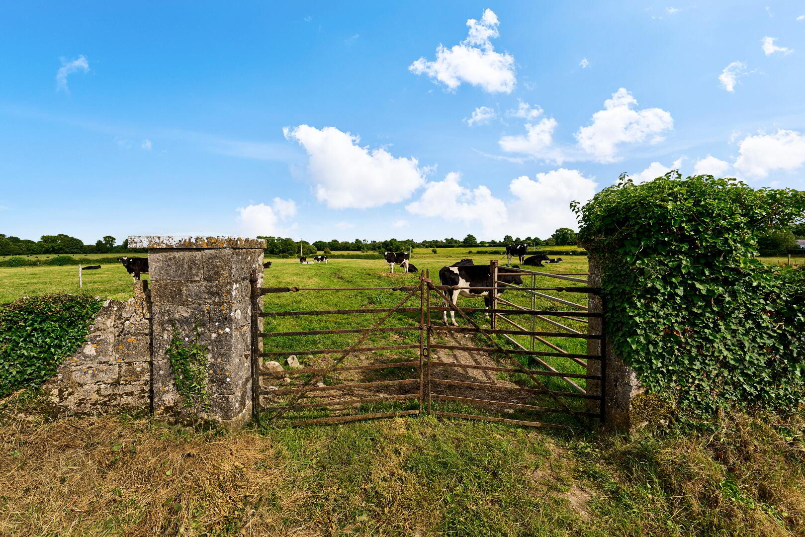 19 Acres, Ballyburly 3 of 3