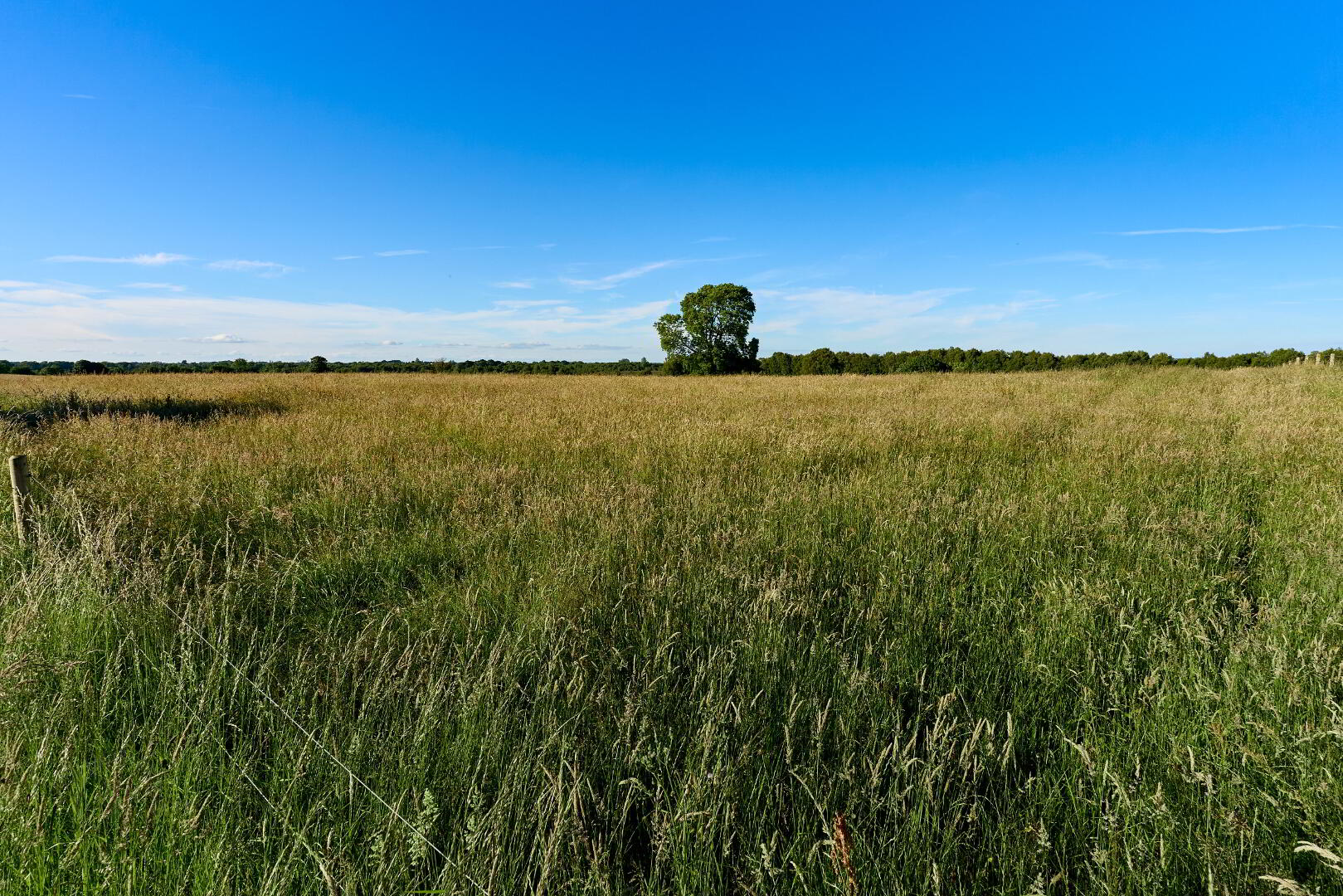 118 Acres, Monaghanstown 5 of 6