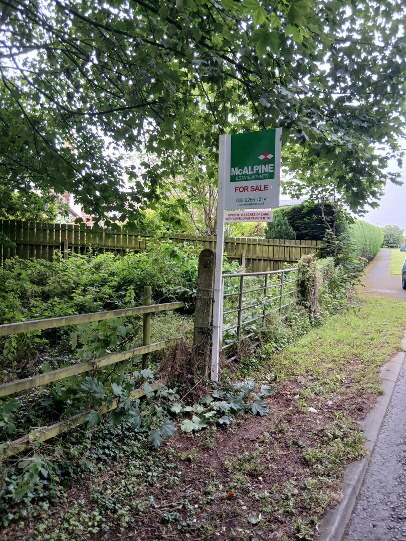 Carnesure Avenue & Old Ballygowan Road 2 of 2