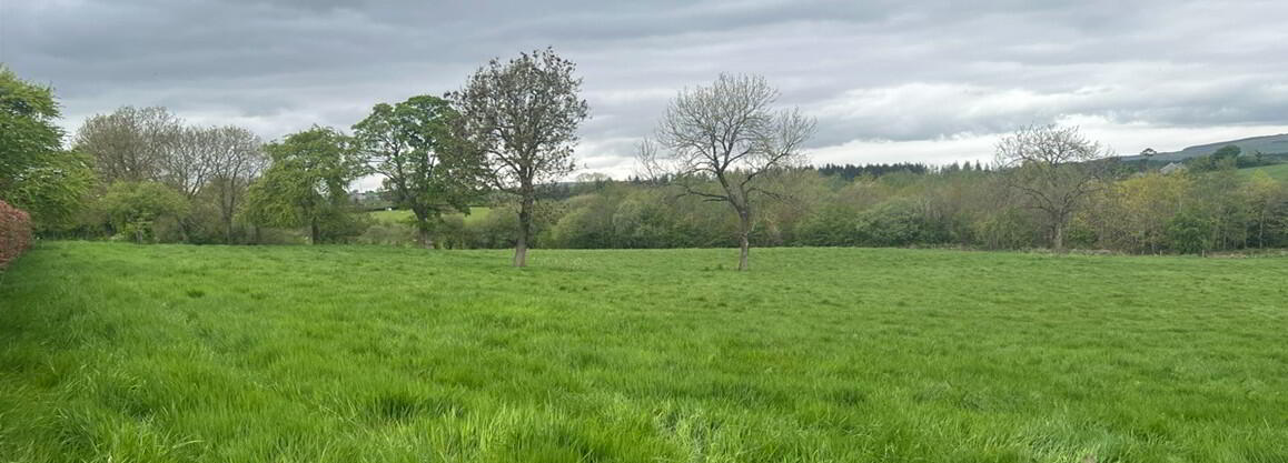 Claggan Lane 2 of 6