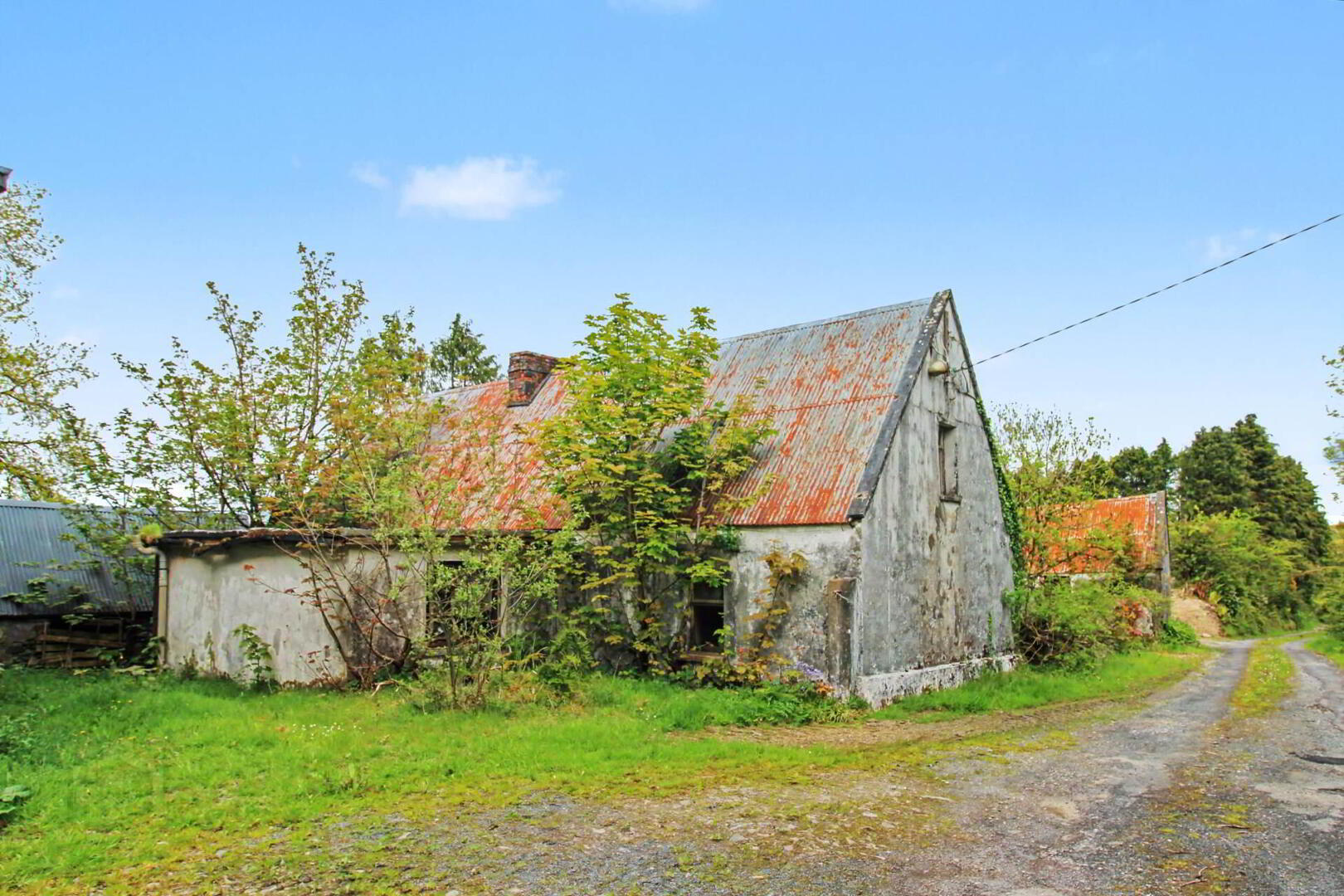 Cummerbeg 6 of 7