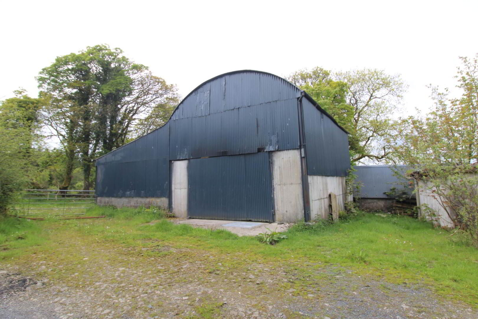Cummerbeg 7 of 7