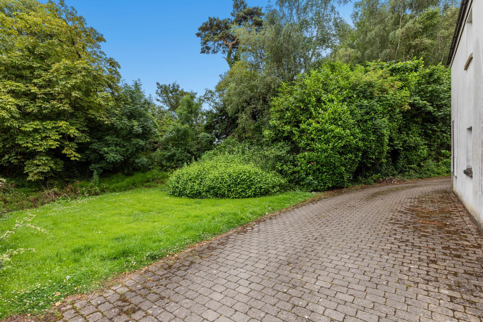 37 Millmount Lane 14 of 15