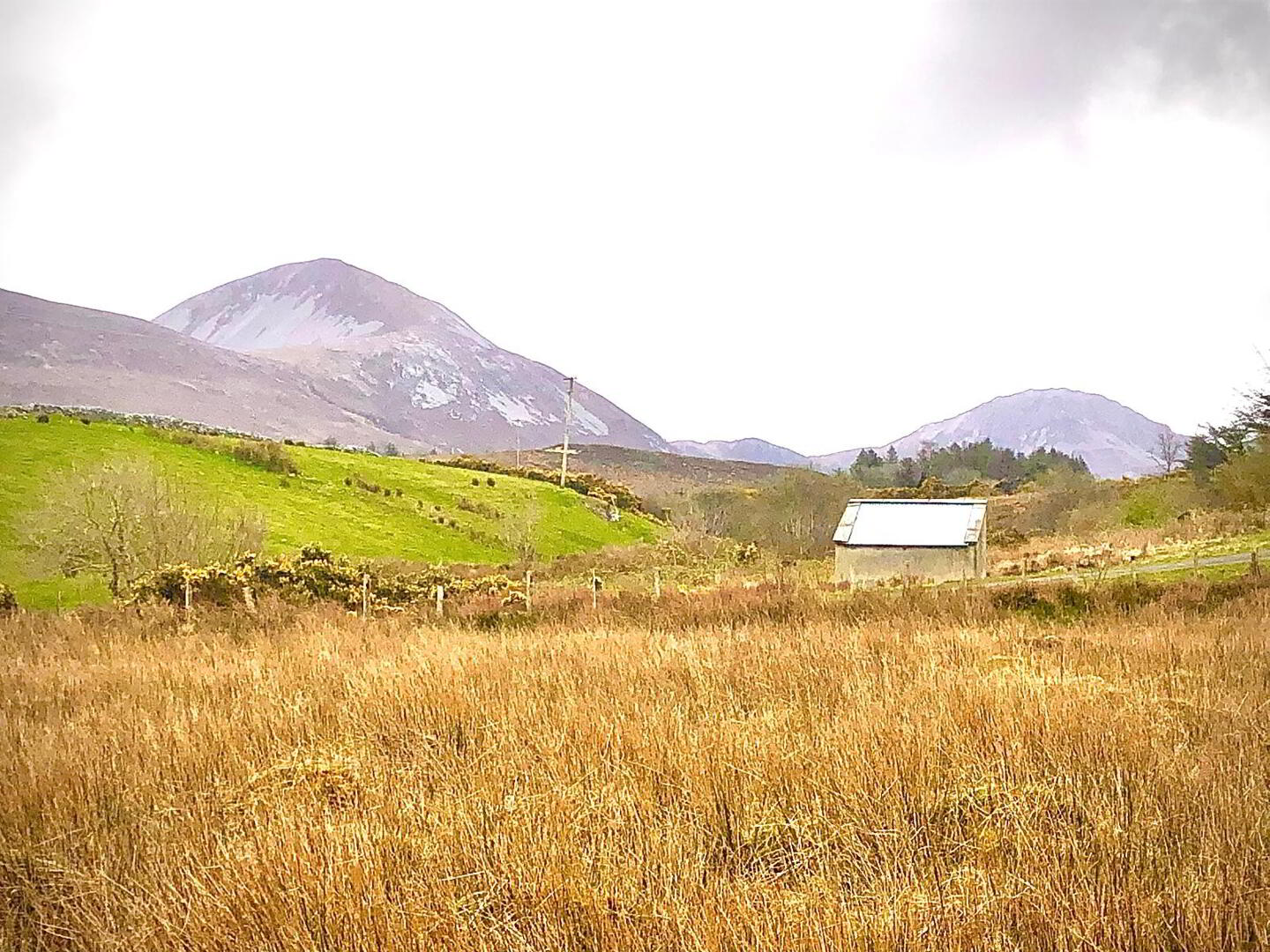 Land For Sale, Meenderry 2 of 10