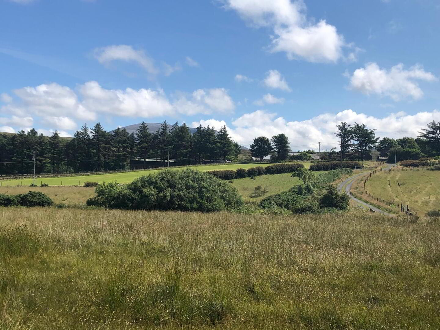 Land For Sale, Meenderry 9 of 10