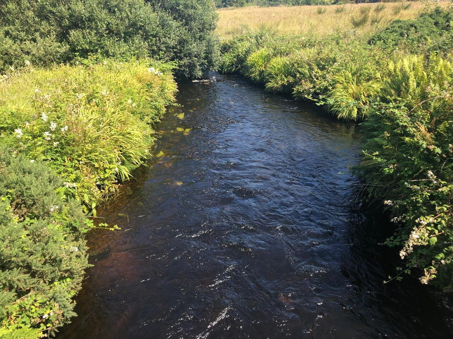 Land For Sale, Meenderry 10 of 10