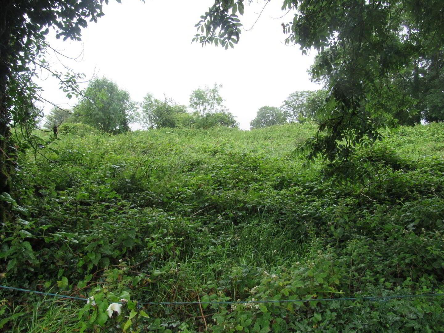 Barnahesker 1 of 3