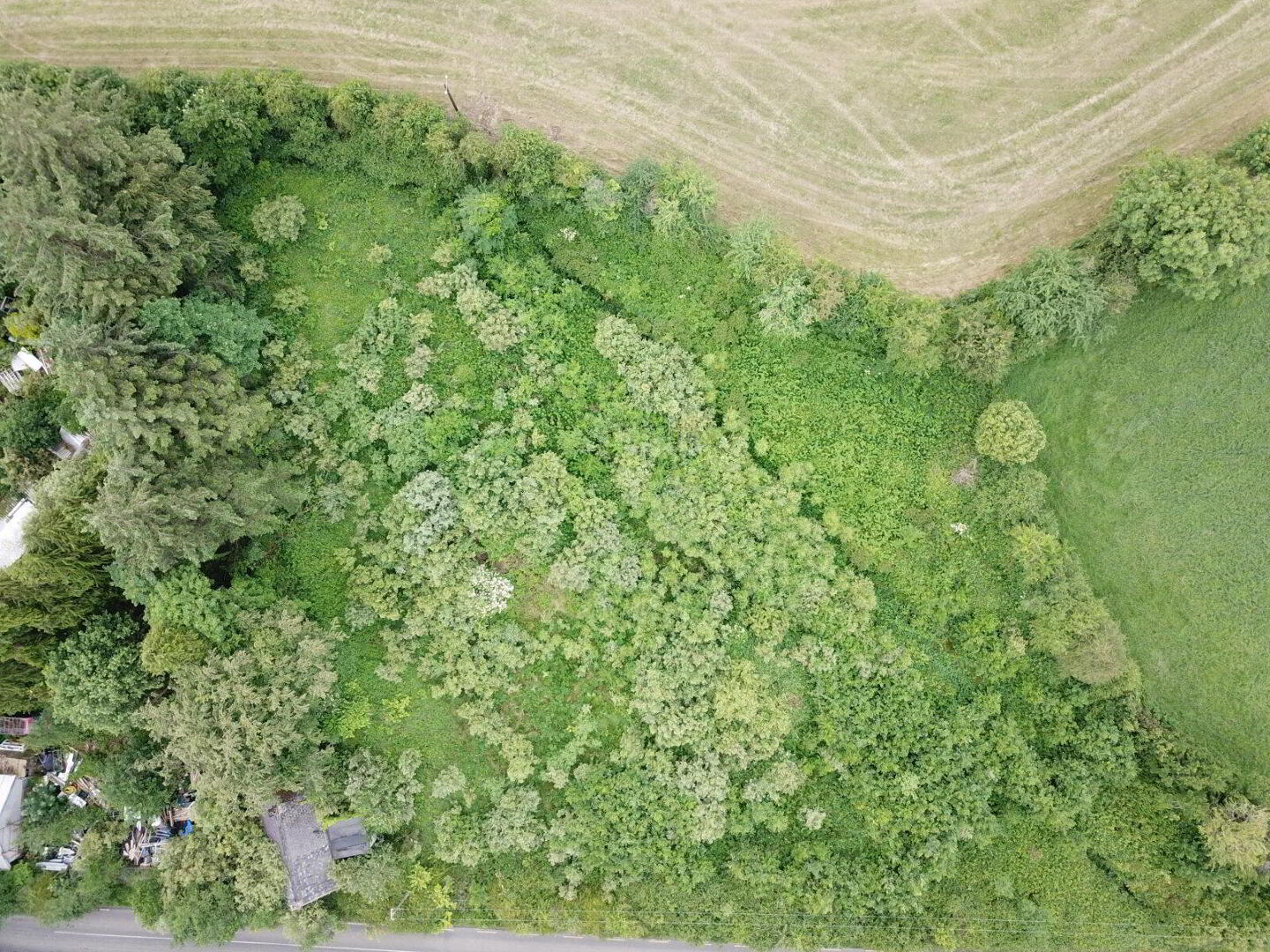 Lands, At 3 of 6