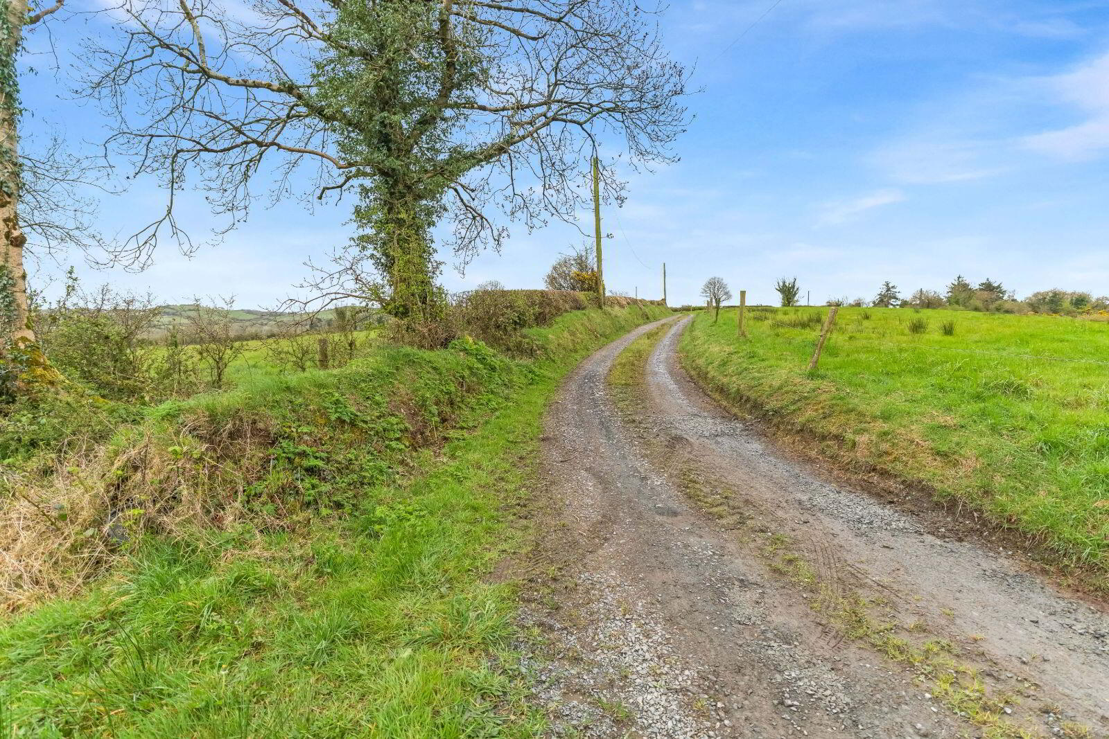 Tunnyduff Lane 3 of 4