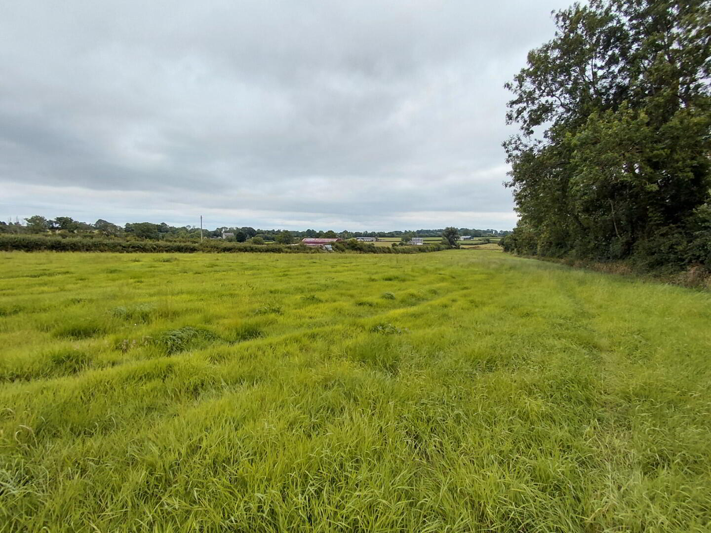Land At, Eglish Road 5 of 6