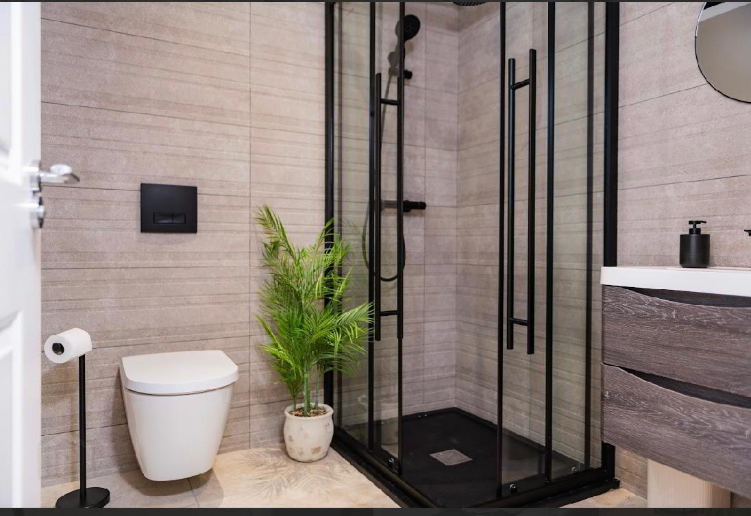 Apt 5, 225a Albertbridge Road 13 of 14