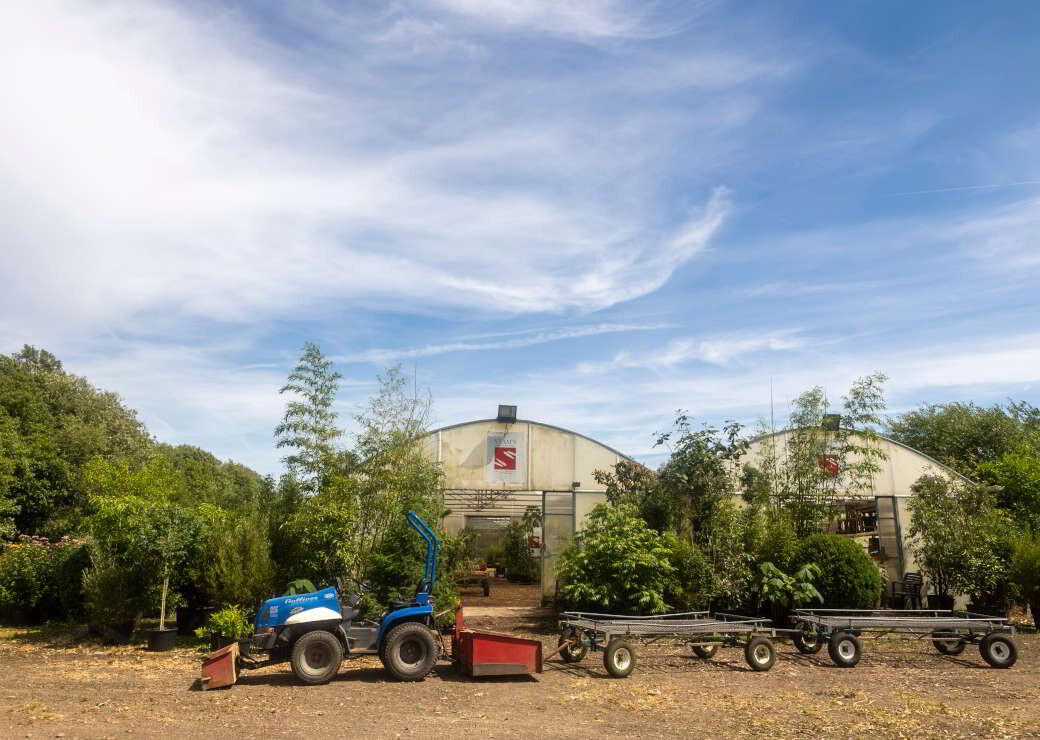 Stam's Bamboo Nursery Ltd, Ballinwillin 2 of 13
