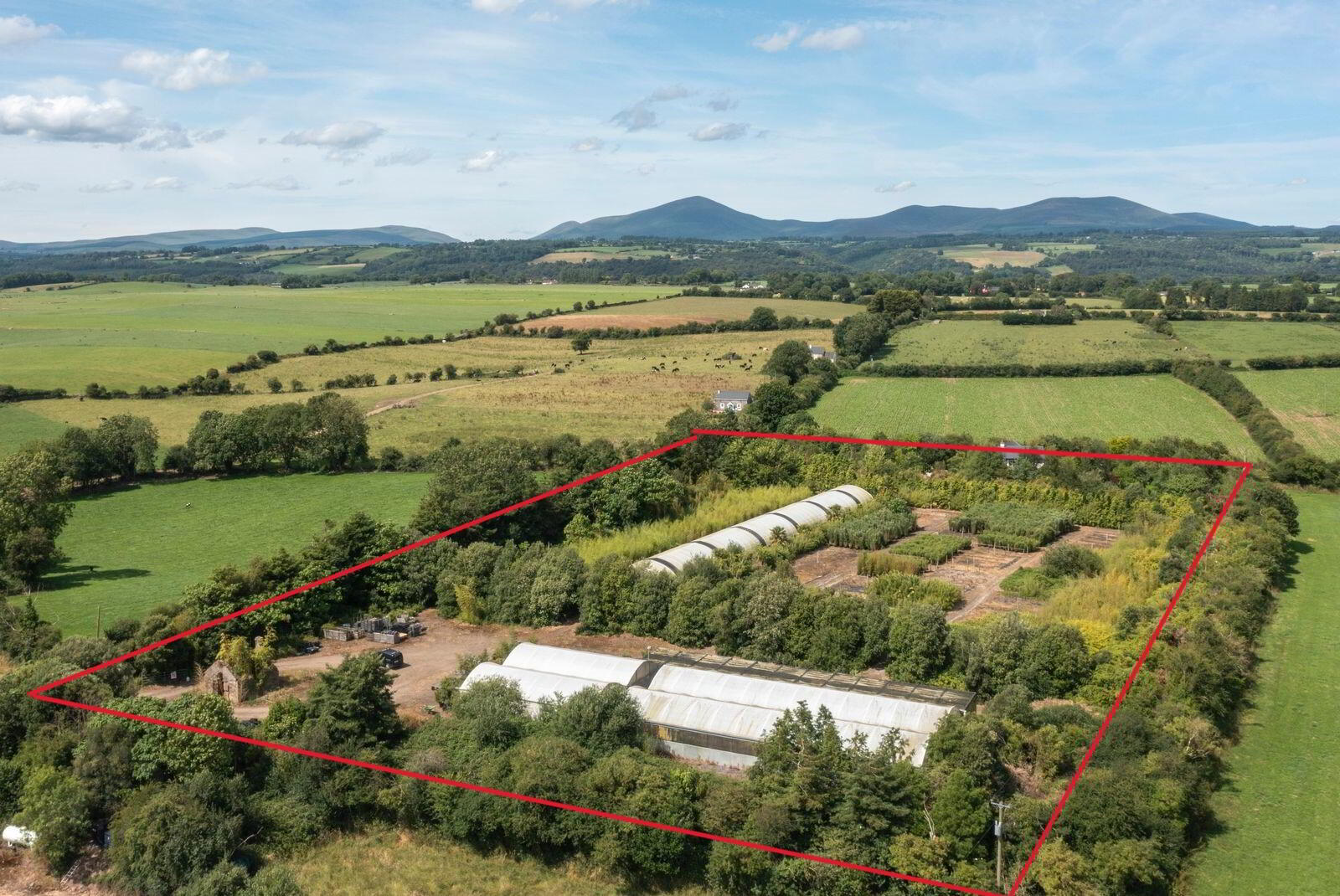 Stam's Bamboo Nursery Ltd, Ballinwillin 12 of 13