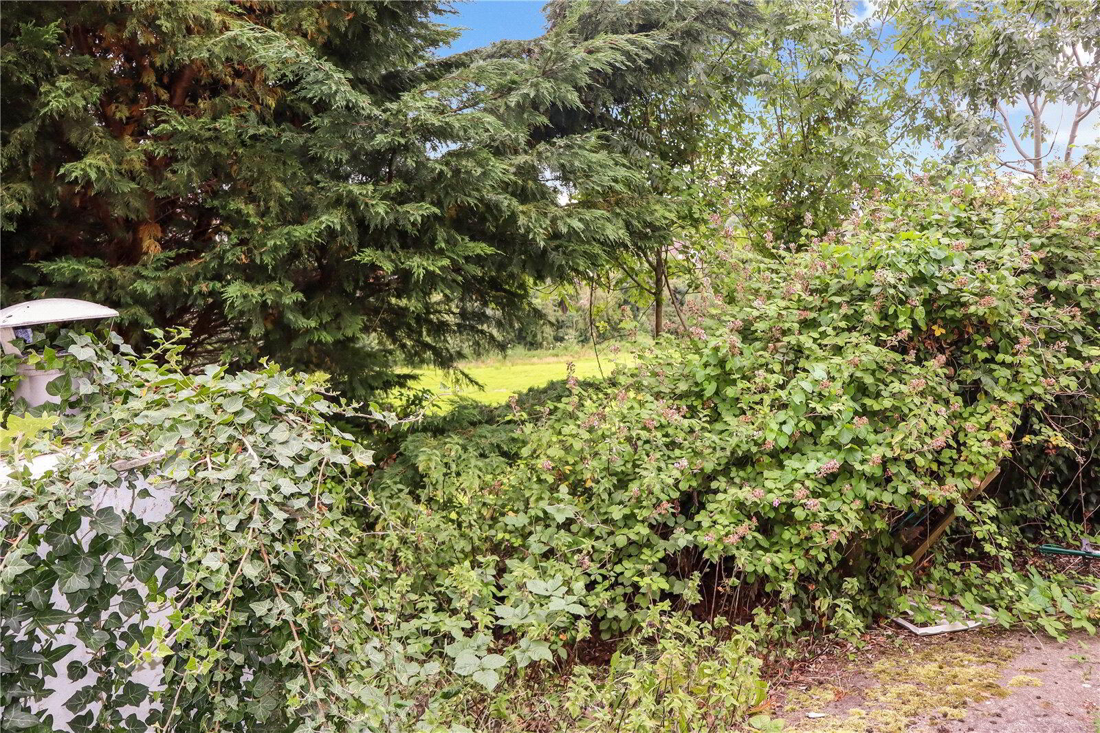 11 Rose Garden Close 22 of 22