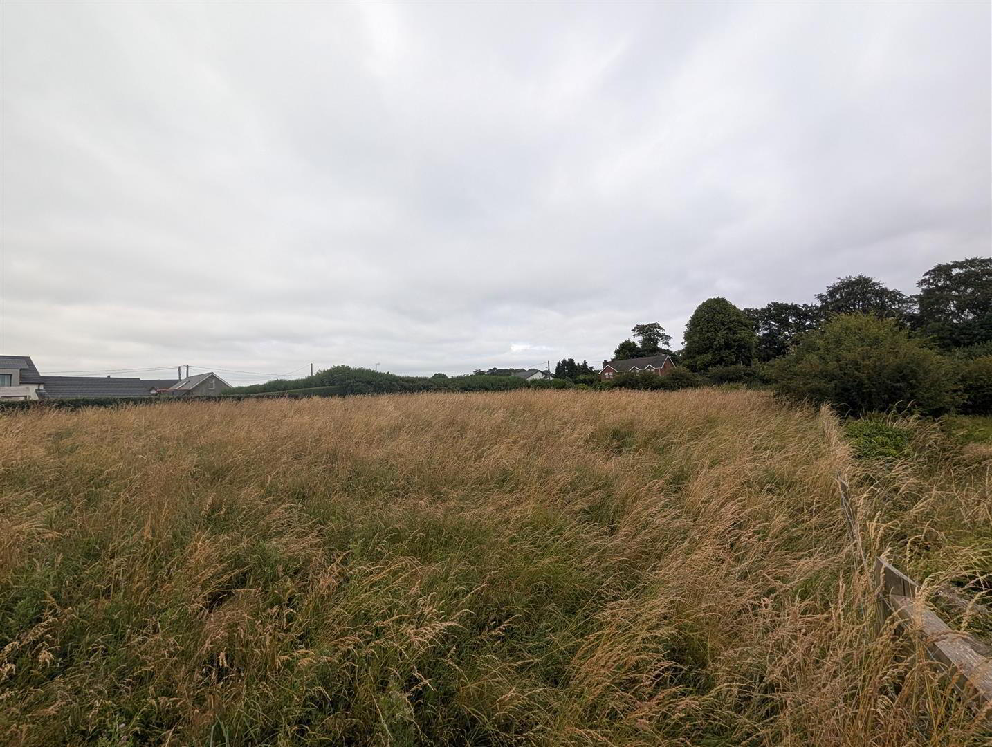 Land, Downpatrick Road 3 of 7
