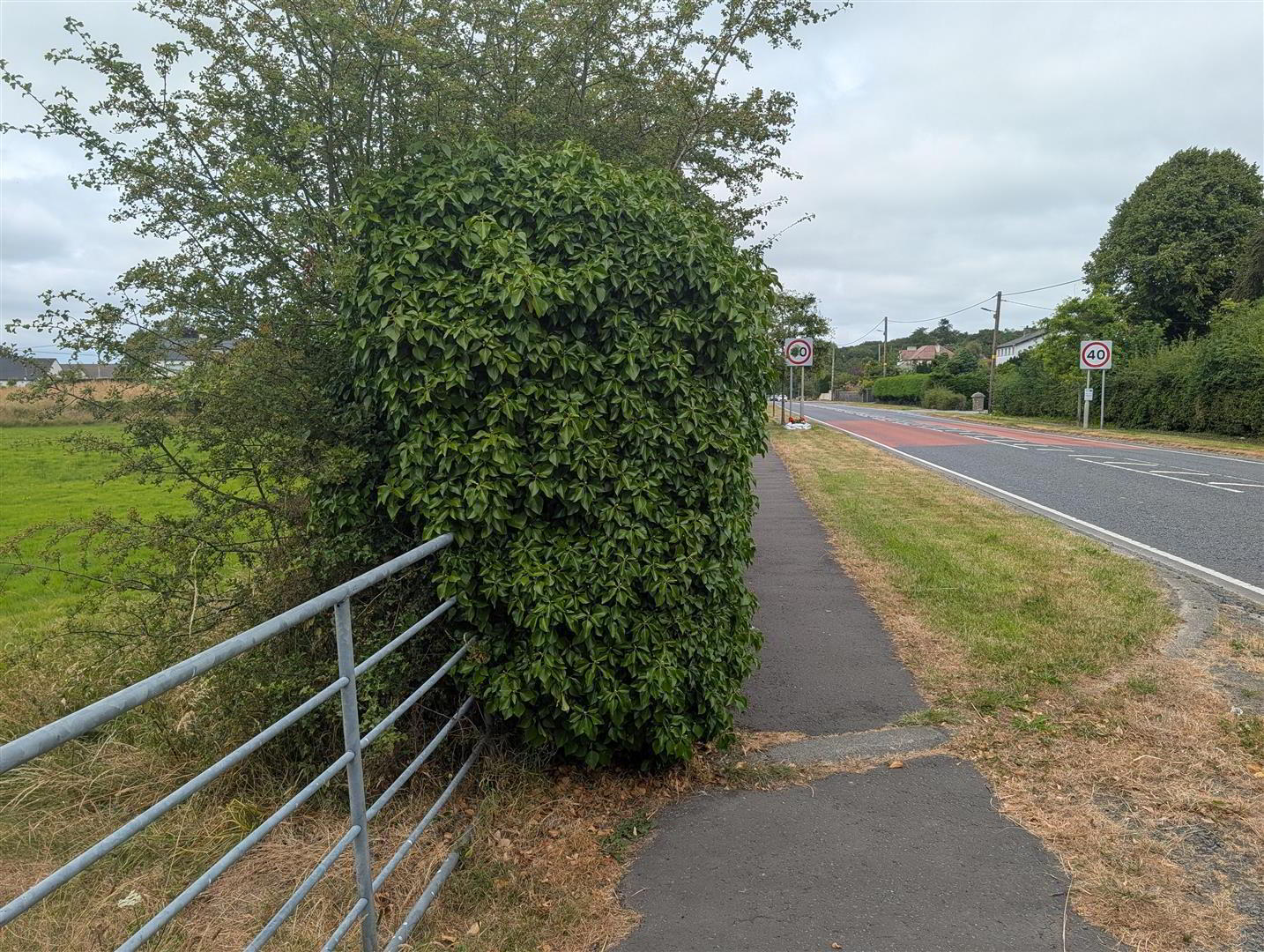 Land, Downpatrick Road 7 of 7