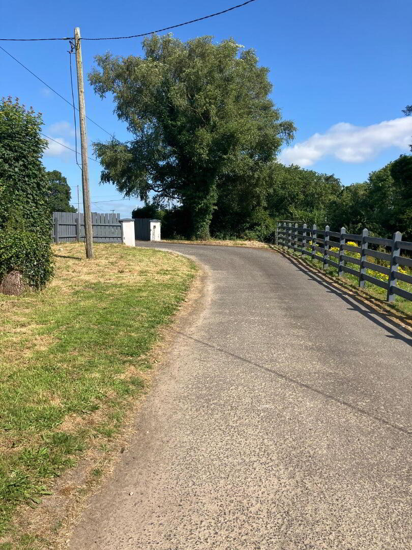 Cavan Lower 2 of 31