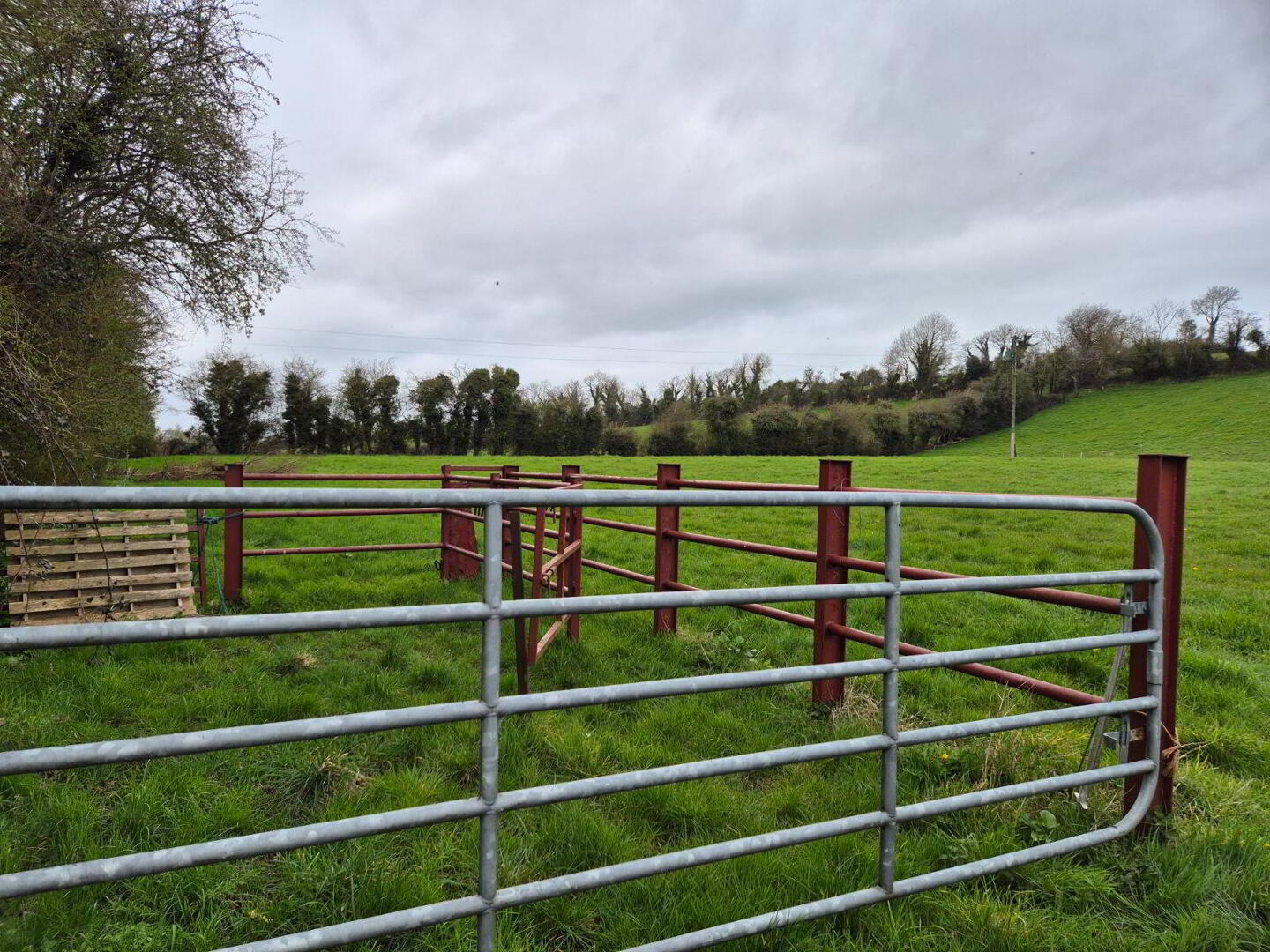 Ballytrasna 4 of 4