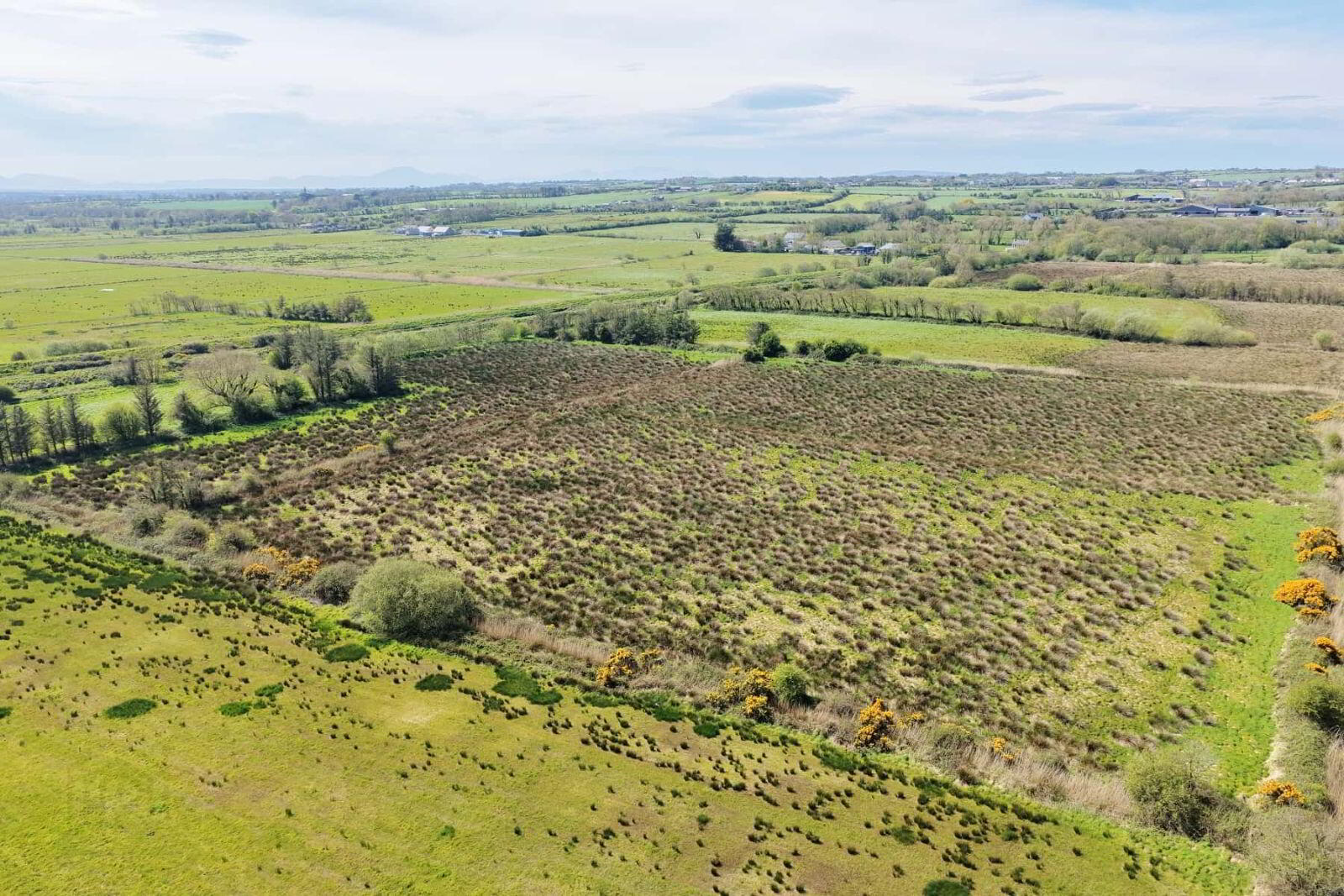 40 Acres, Ballyhorgan 7 of 8