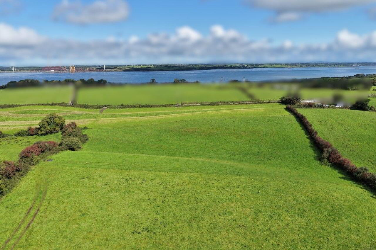 38.5 Acres, Piermount 18 of 18