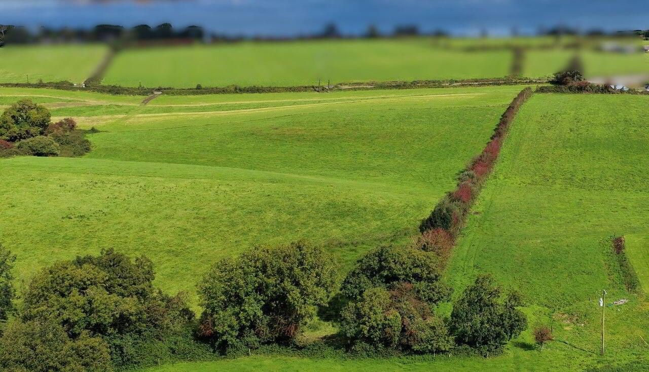 38.5 Acres, Piermount 17 of 18