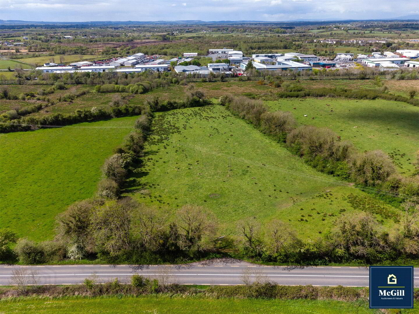 Lands, Beside Athlone Road 15 of 16